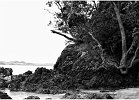2009-01-04 Tawhara Bay